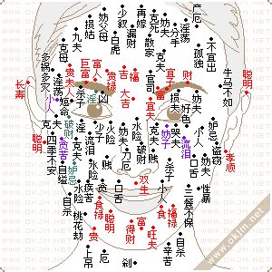 四肢的吉凶体相解析,第2张